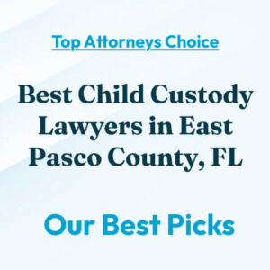 best child custody lawyers in east pasco county fl