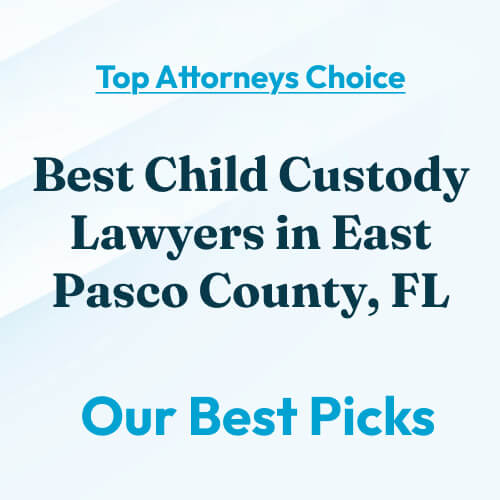 best child custody lawyers in east pasco county fl