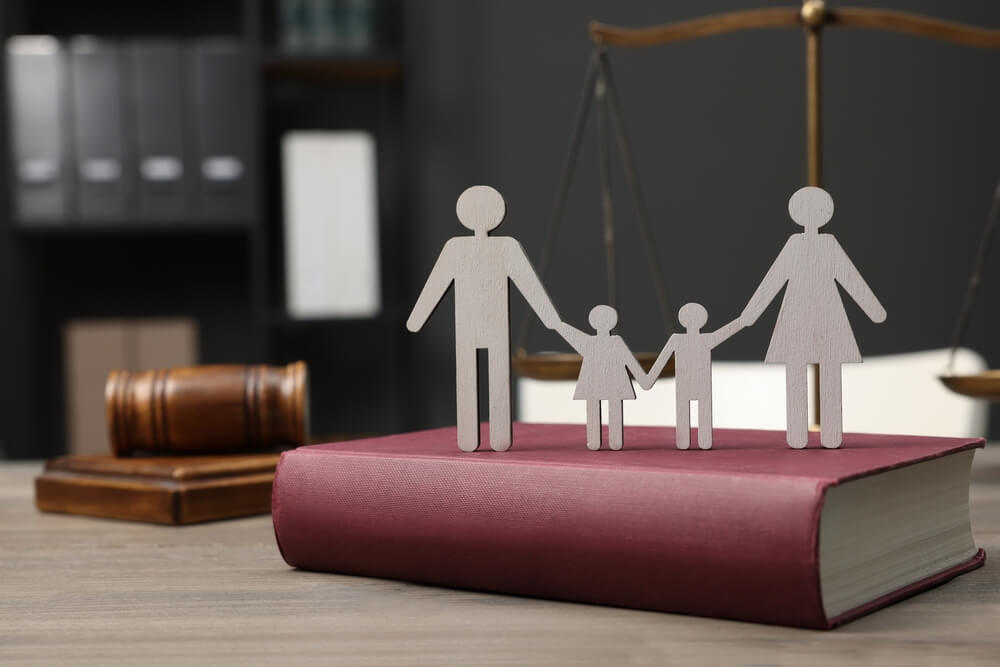 family law attorney land o' lakes
